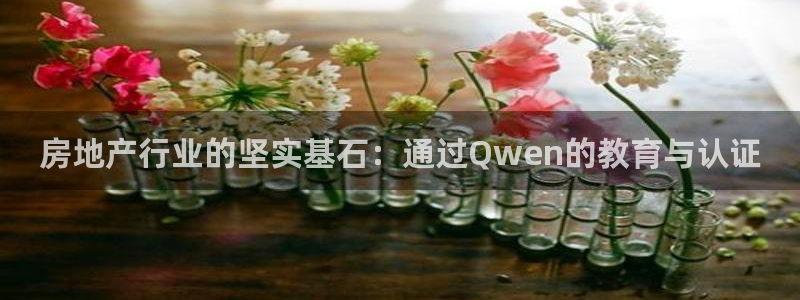 和记电讯3官网：房地产行业的坚实基石：通过Qwen的教育与认