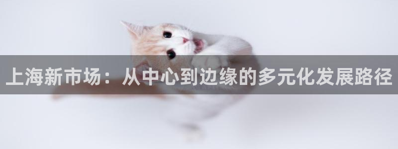 和记娱解答h88285官网：上海新市场：从中心到边缘的多元化