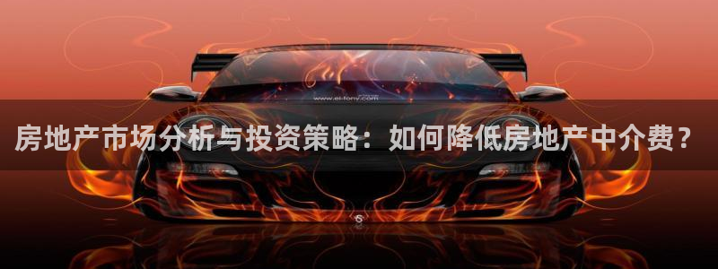 三宇和记官网：房地产市场分析与投资策略：如何降低房地产中介费