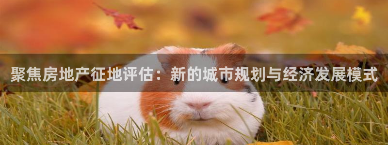 和记官网：聚焦房地产征地评估：新的城市规划与经济发展模式