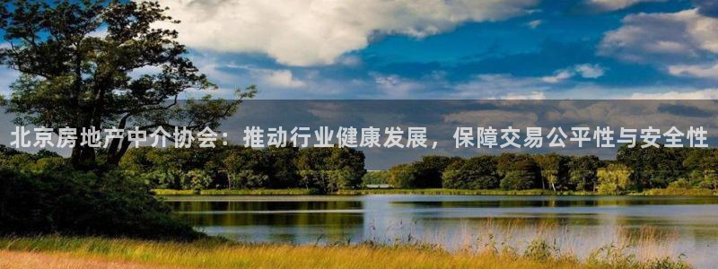 和记国际官网电话：北京房地产中介协会：推动行业健康发展，保障