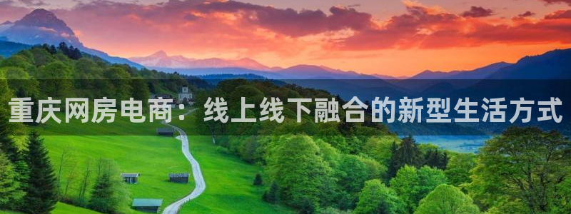 和记官网是一个什么平台：重庆网房电商：线上线下融合的新型生活