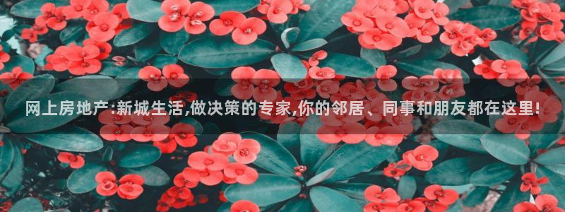 和记混凝土官网：网上房地产:新城生活,做决策的专家,你的邻居