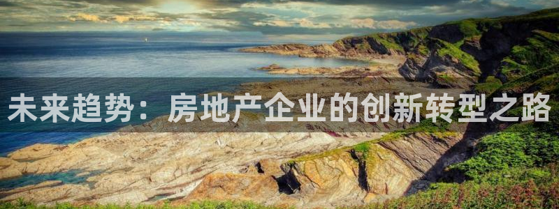 和记官网地址：未来趋势：房地产企业的创新转型之路
