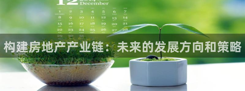 和记国际平台官网：构建房地产产业链：未来的发展方向和策略