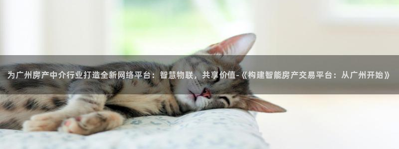 和记备用官网：为广州房产中介行业打造全新网络平台：智慧物联，