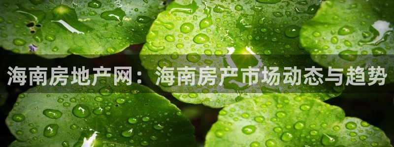 和记娱乐唯一官网：海南房地产网：海南房产市场动态与趋势