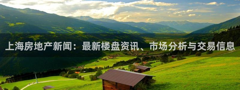 郑州和记酒业官网：上海房地产新闻：最新楼盘资讯、市场分析与交