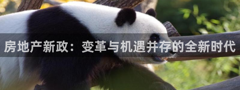和记黄埔官网：房地产新政：变革与机遇并存的全新时代