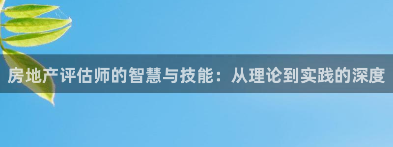 和记黄埔武汉官网：房地产评估师的智慧与技能：从理论到实践的深