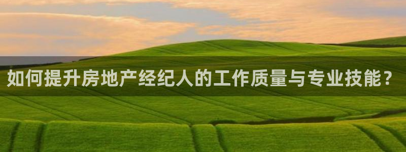 和记黄埔集团官网：如何提升房地产经纪人的工作质量与专业技能？