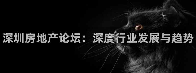 和记怡情官网：深圳房地产论坛：深度行业发展与趋势