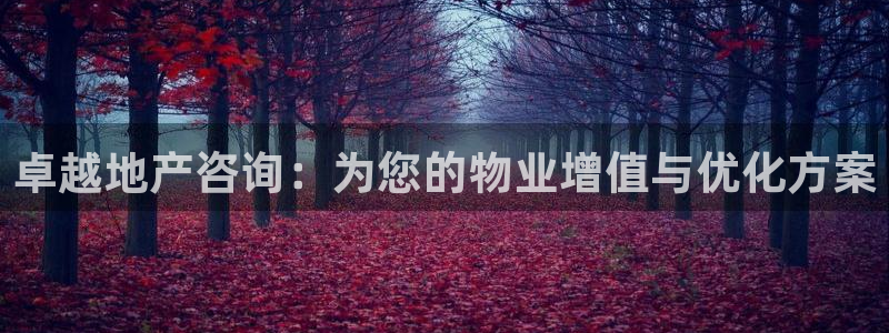 武汉和记黄埔官网：卓越地产咨询：为您的物业增值与优化方案