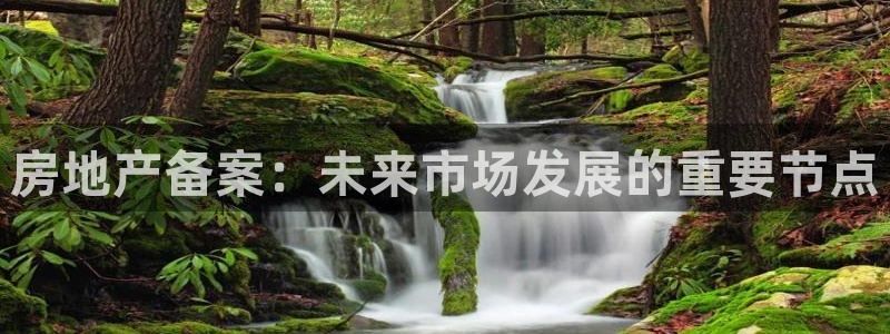 上海和记官网：房地产备案：未来市场发展的重要节点