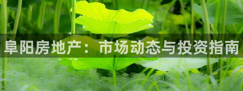毛记和意冒菜官网加盟：阜阳房地产：市场动态与投资指南