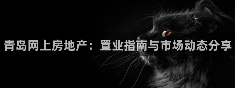 和记娱乐场所官网：青岛网上房地产：置业指南与市场动态分享