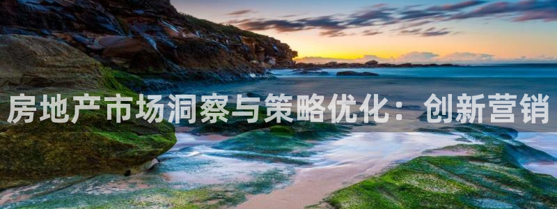 广州和德记官网：房地产市场洞察与策略优化：创新营销
