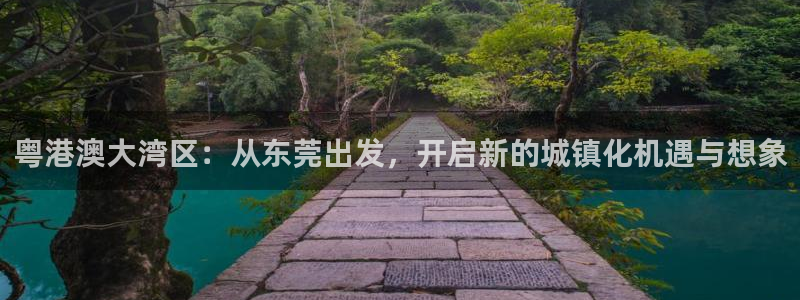 和记官网app是谁的：粤港澳大湾区：从东莞出发，开启新的城镇