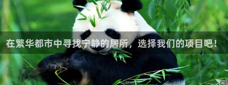 和记增值官网：在繁华都市中寻找宁静的居所，选择我们的项目吧！