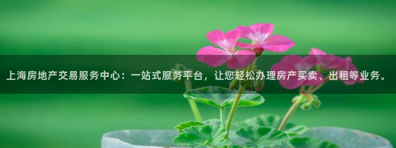 和记黄埔m 官网：上海房地产交易服务中心：一站式服务平台，让