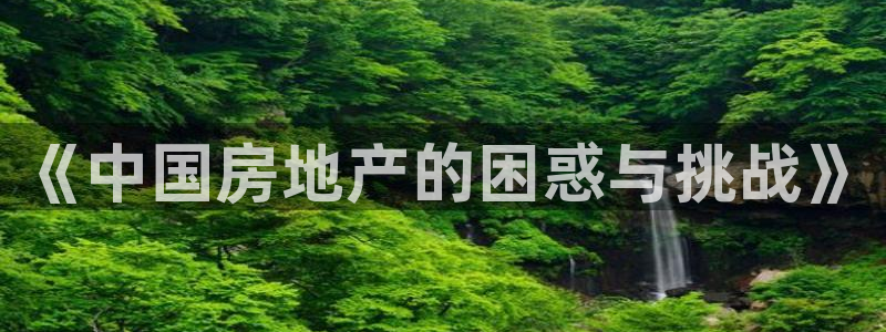 和记官网：《中国房地产的困惑与挑战》