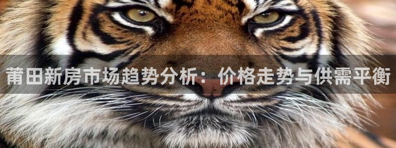 香港和记3台官网：莆田新房市场趋势分析：价格走势与供需平衡
