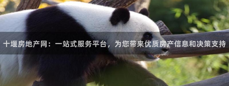 和记娱乐h8官网：十堰房地产网：一站式服务平台，为您带来优质
