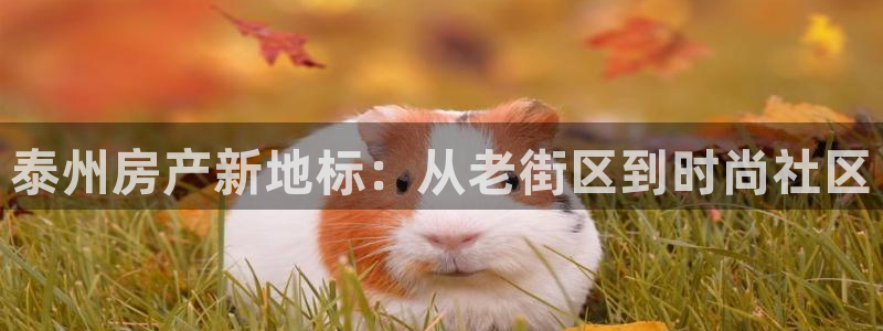 和记官网加盟：泰州房产新地标：从老街区到时尚社区
