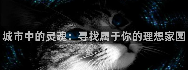 和记娱乐app官网：城市中的灵魂：寻找属于你的理想家园