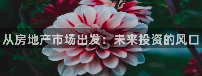 澳门和记客服官网：从房地产市场出发：未来投资的风口