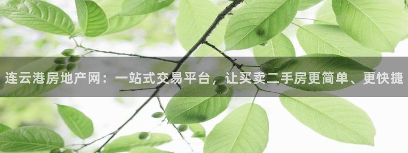 和记官网手机新版app下载：连云港房地产网：一站式交易平台，