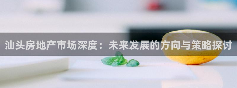 和记官网加盟：汕头房地产市场深度：未来发展的方向与策略探讨