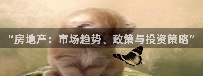 和记娱乐平台官网：“房地产：市场趋势、政策与投资策略”