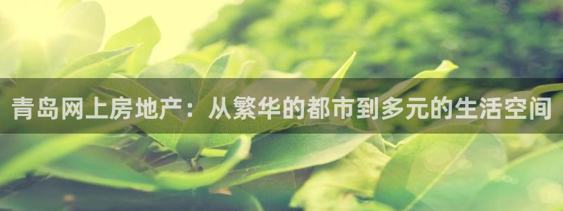 武汉和记黄埔官网：青岛网上房地产：从繁华的都市到多元的生活空