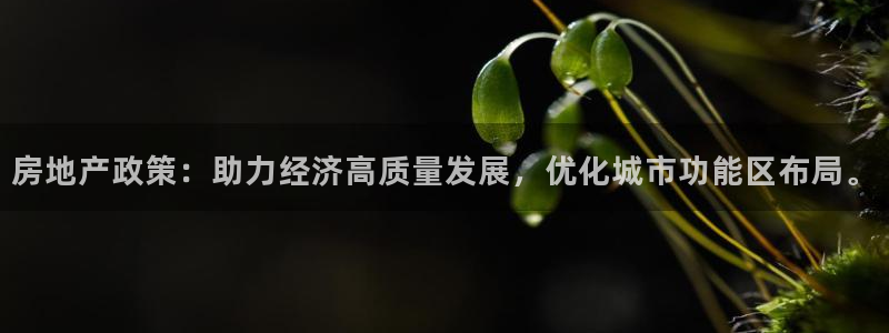 和记官网：房地产政策：助力经济高质量发展，优化城市功能区布局
