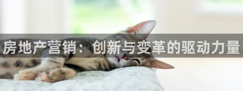 香港和记电讯公司官网：房地产营销：创新与变革的驱动力量