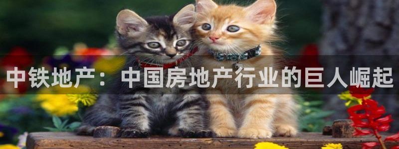 和记娱真好h88285官网：中铁地产：中国房地产行业的巨人崛