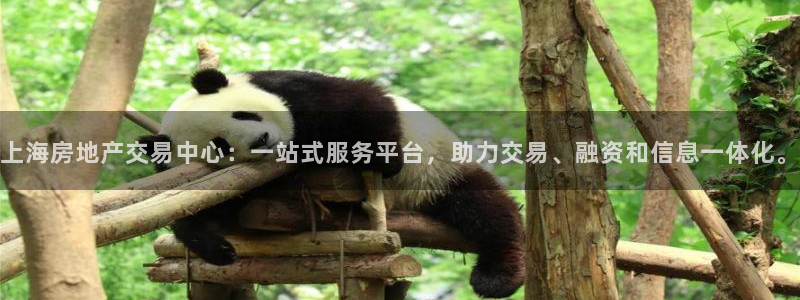 和记黄埔官网攻略：上海房地产交易中心：一站式服务平台，助力交