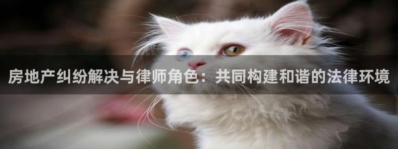 和记电讯app官网：房地产纠纷解决与律师角色：共同构建和谐的