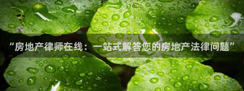 和木记官网：“房地产律师在线：一站式解答您的房地产法律问题”