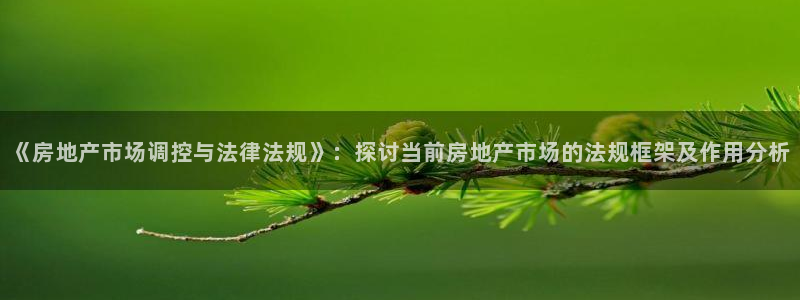 和记开户官网：《房地产市场调控与法律法规》：探讨当前房地产市