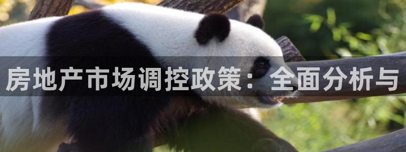 和记怡情视频在线官网：房地产市场调控政策：全面分析与