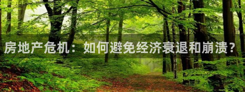 和记app官网登录：房地产危机：如何避免经济衰退和崩溃？