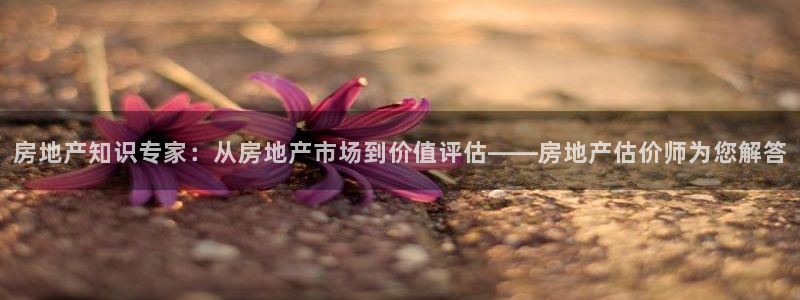 和记港口官网：房地产知识专家：从房地产市场到价值评估——房地