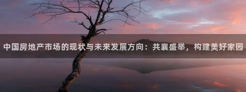 香港和记隆官网：中国房地产市场的现状与未来发展方向：共襄盛举