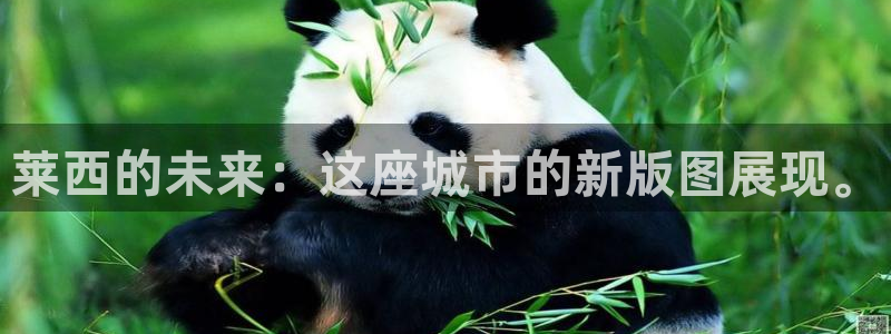 和记旗舰官网：莱西的未来：这座城市的新版图展现。