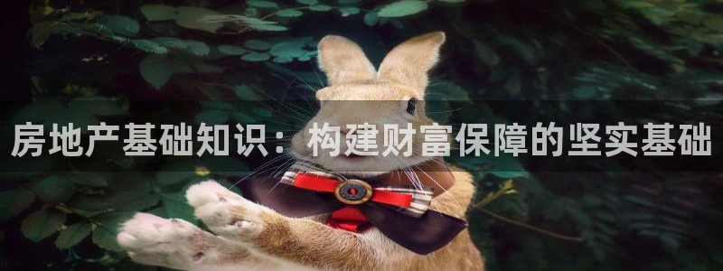 和记娱的确好h88285官网：房地产基础知识：构建财富保障的