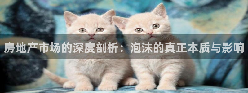 和记体育买球官网：房地产市场的深度剖析：泡沫的真正本质与影响