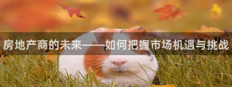 和记国际有限公司官网：房地产商的未来——如何把握市场机遇与挑