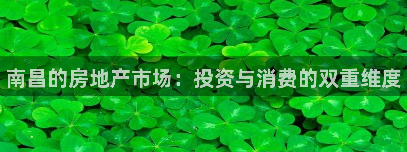 和记集团官网：南昌的房地产市场：投资与消费的双重维度